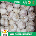 2013 nuevo ajo de Jinxiang de la cosecha con precio bajo